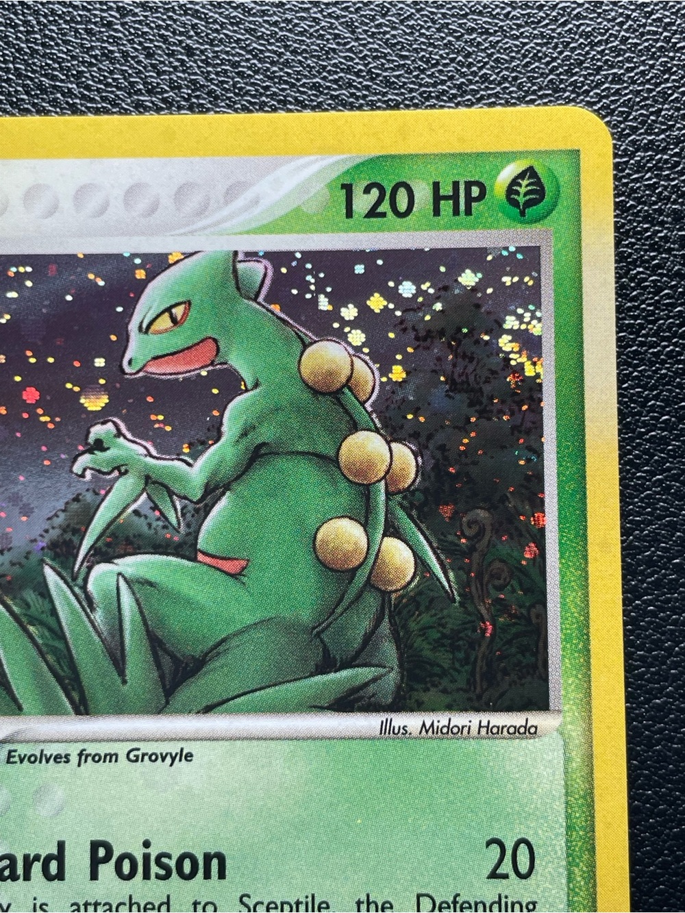 Sceptile #11/Holo/Pokemon Ruby & Sapphire - Picture 4 of 15